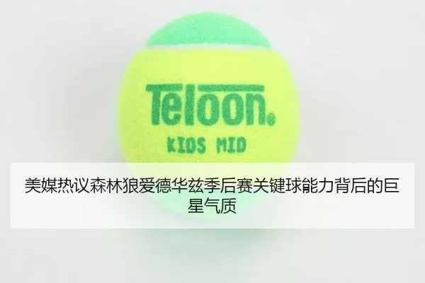 美媒热议森林狼爱德华兹季后赛关键球能力背后的巨星气质